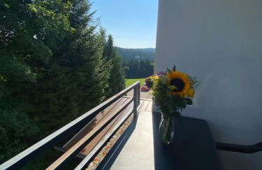 Dreisessel Dreiländereck Pool Sauna - Foto 14