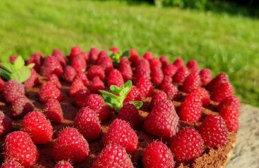 Agroturystyka Zadnie Łuki - Foto 46