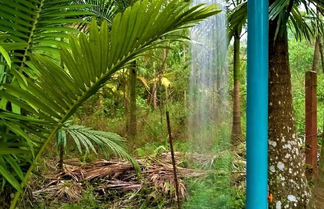 Sitio Libardo - Nova Trento - SC - Foto 61