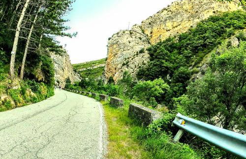 Alojamientos Turísticos TURBON - Campo - Foto 54