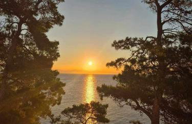 Modern Robinson Veli Bare - Photo 52