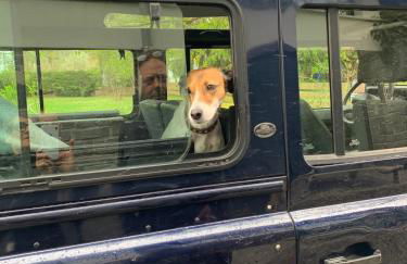 Bergesgrün - Photo 51