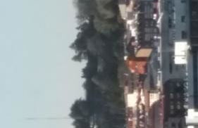 Apartamento Castrelos - Foto 29