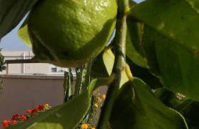 IsolaAzzurra - Foto 15