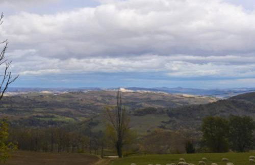 Casa dei nonni - Foto 14