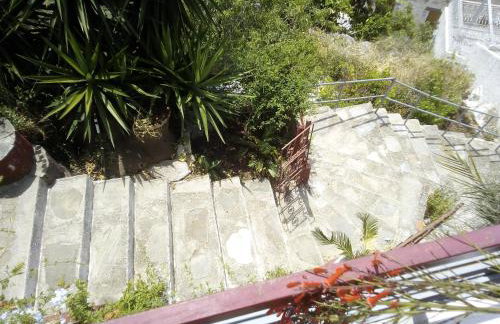 Georgia's - Photo 15