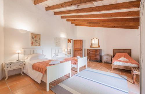 Numero Uno - Foto 18