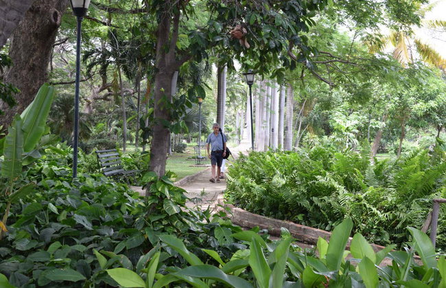 Excursion à Santa Marta et Barranquilla - Photo 5