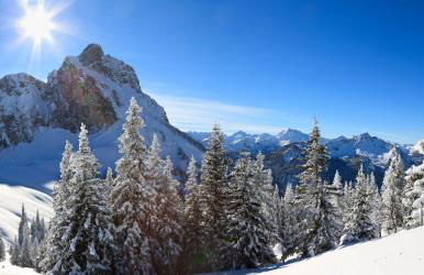 VitAllgäu-Neues Studio mit Königscard - Foto 30