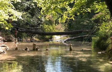 Maison familiale, coeur de ville & nature - Foto 33