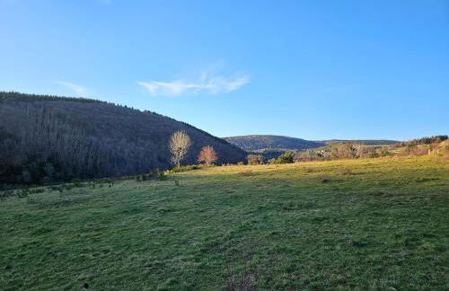 Le Saint-Jean - Foto 12