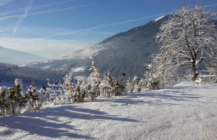 Trinnerhof- Hof Chalets und Obsthof - Photo 69