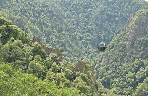 Modernes Ferienhaus im Harz Nähe Wernigerode - Foto 41