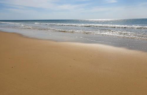 Superbe appartement au coeur du Cap-Ferret - Foto 20