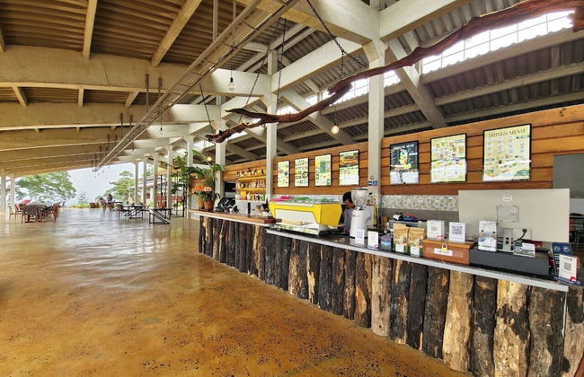 PIDA COFFEE FARM LODGE - Photo 48