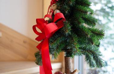 Domek RiverHut Małe Ciche - SkyWalk - blisko do szlaków TPN Wiktorówki, Rusinowa Polana , Gęsia Szyja , Brzeziny , Psia Trawka , Toporowa Cyrhla , Murowaniec , Hala Gąsienicowa - Foto 71