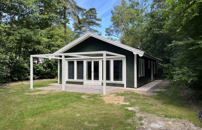 3 bedroom House in Dwingeloo with swimming pool and terrace - Photo 15