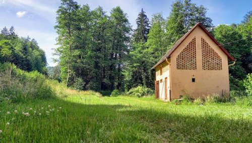 Domaine du KleinHammer - Foto 3, Garden view