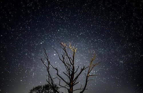 Moor Farm Lodge - Foto 22