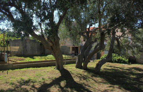 Apartments by the sea Sutomiscica, Ugljan - 8474 - Photo 13