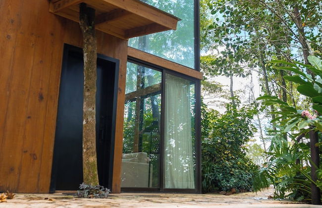 The Grand Forest Jarabacoa - Photo 36