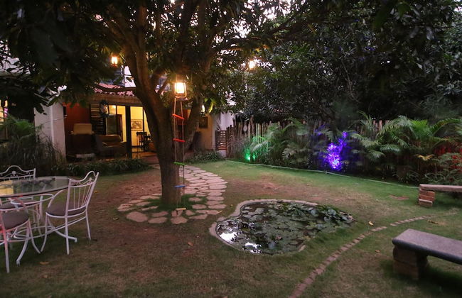 Lantern By Jade - Foto 6