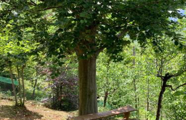 Chalet Alma - Foto 56