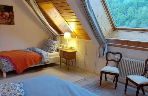 Ferienhaus am Rosengärtle - Black Forest - Forêt Noire - Foto 22