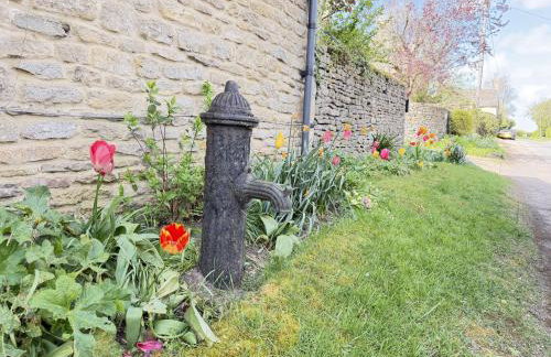 The Rabbit Hole - Photo 5