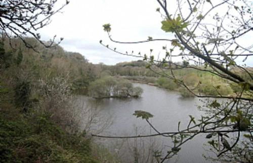 Best Beach 2025 "Little Haven" & The Hidden Gem - Foto 37