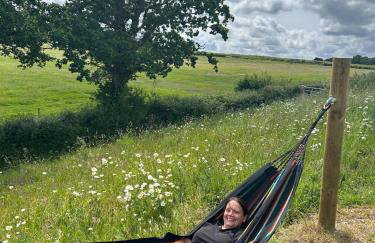 Cosy Devon Hut Woodland Views - Photo 41