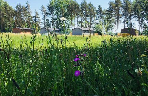 Hollicarrs - Wildflower Lodge - Photo 34