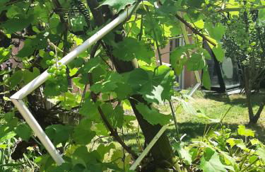 La Maison Rose - avec grand jardin clos à 300m de la mer - Foto 47