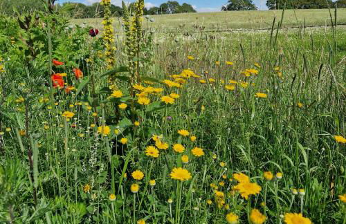 Ferienwohnung Stolle - Photo 25