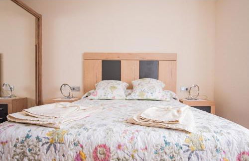 Apartamentos La Cortina - Foto 38