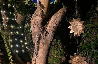 Glenburn, Peaceful Accommodation Fochabers - Foto 38