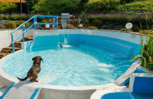 Agriturismo Carincone - Foto 66