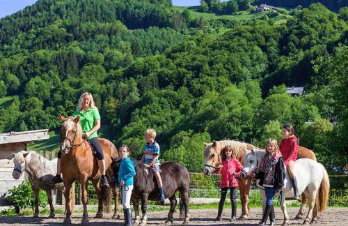 Gästehaus Pfeffererlehen - Foto 16
