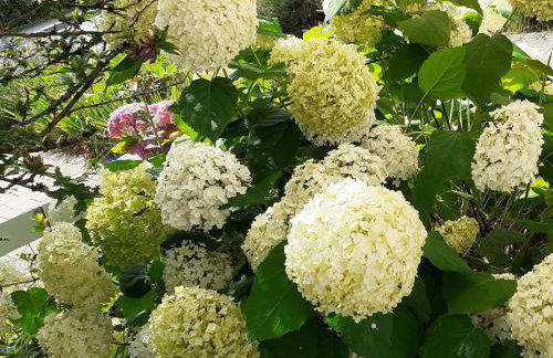 Ferienwohnung Im Fischerhäusle - Foto 15