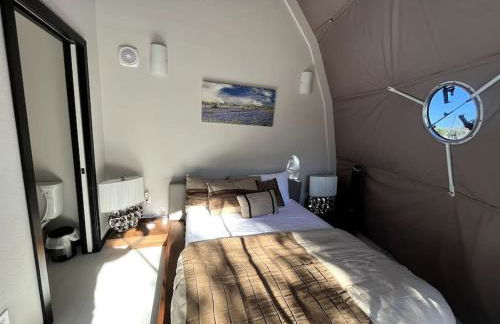 Dome Sweet Dome - Foto 20