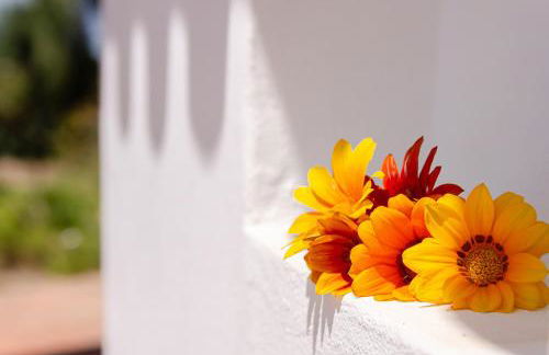 Casa Oleandra - Foto 25