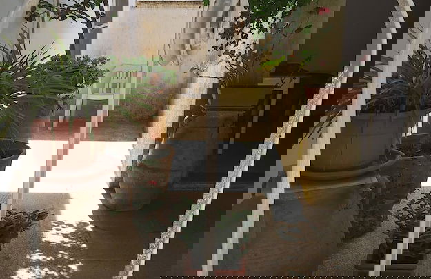 Guest House Salentojoy - Foto 11