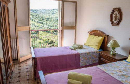 Le Case nel Vitigno - Modolo - Foto 101