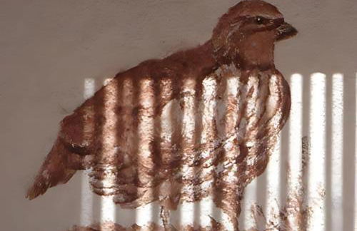 Monte Do Areeiro - Foto 55