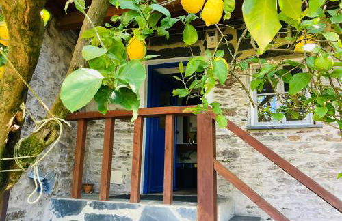 Casa do Ferreiro - Bocado Arganil - Foto 48