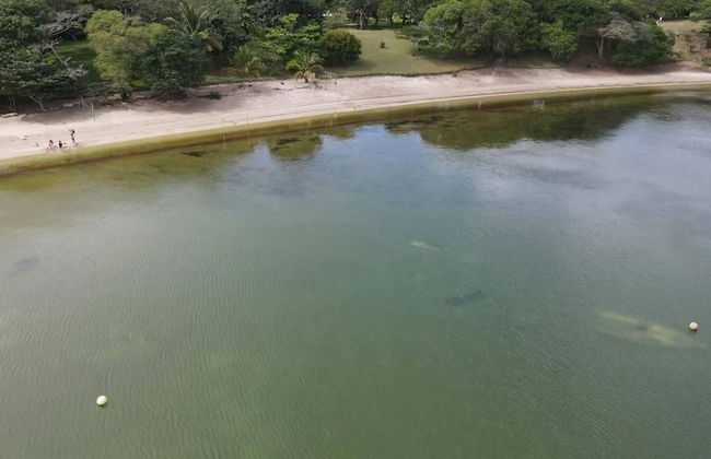 Log Cabin On And Overlooking a 9km Lagoon - Photo 30
