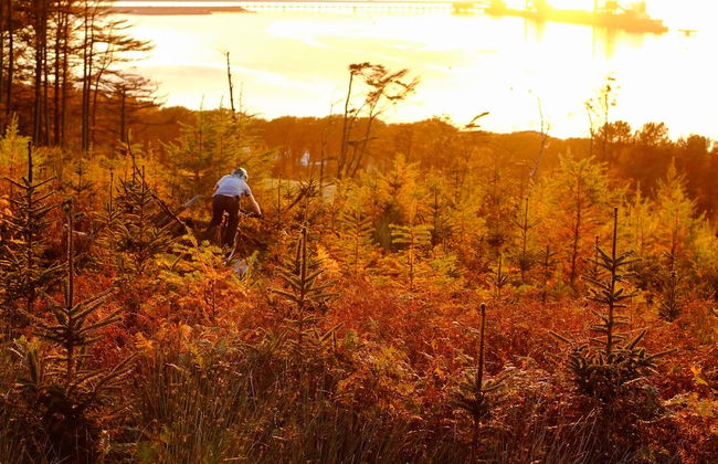 Charming Yurt in Kelburn Estate Near Largs - Foto 15