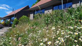 Odenwald-Lodge mit Infrarotsauna und E-Ladestation "Haus Purpur" - Foto 5