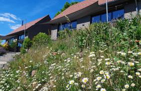 Odenwald-Lodge mit Infrarotsauna und E-Ladestation "Haus Purpur" - Foto 5