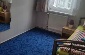 Ferienhaus Benneckenstein - Foto 32